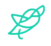 Wisetack financing