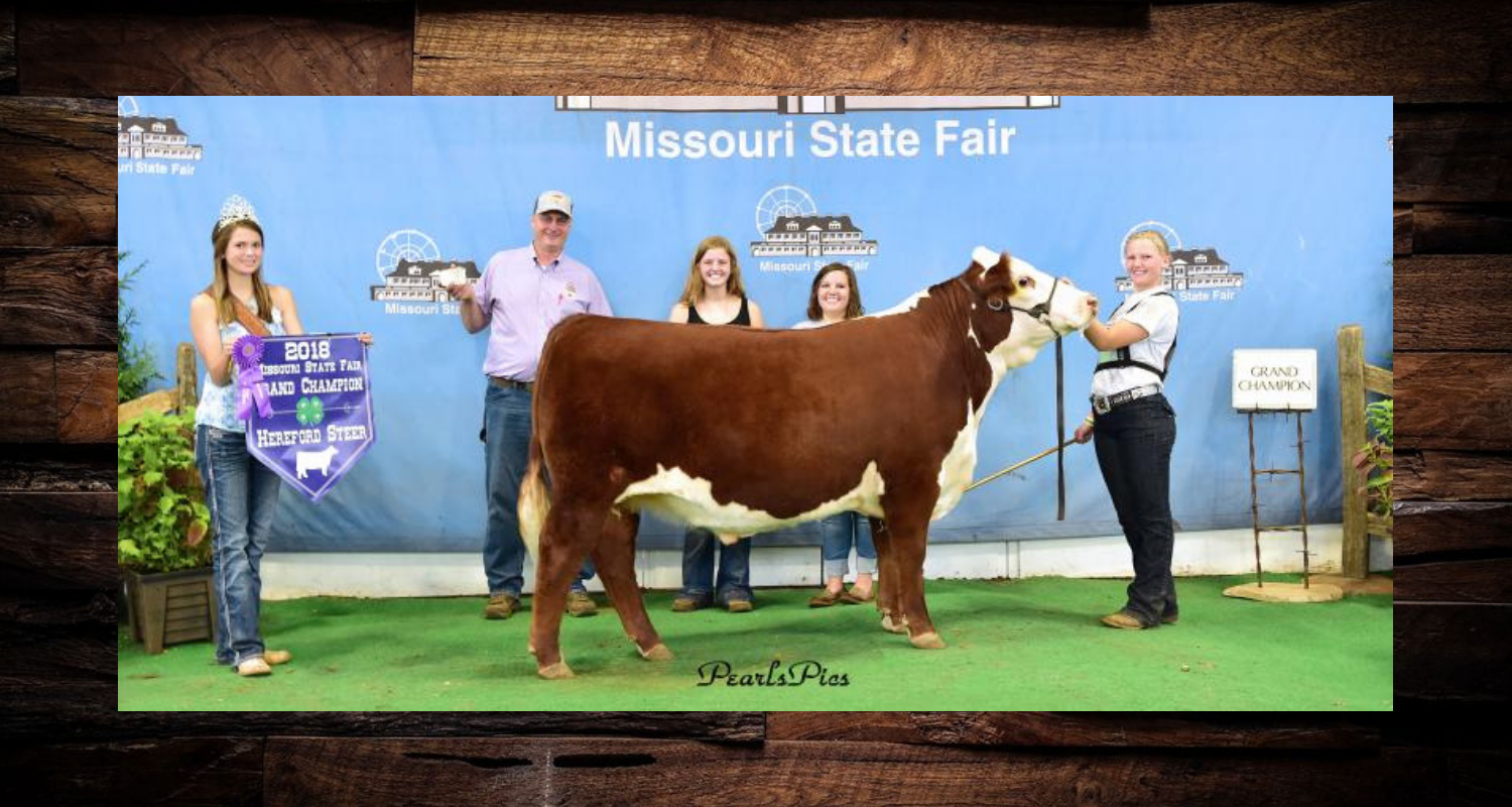 Winners posing with a brown cow at the Missouri State Fair in front of a blue backdrop.