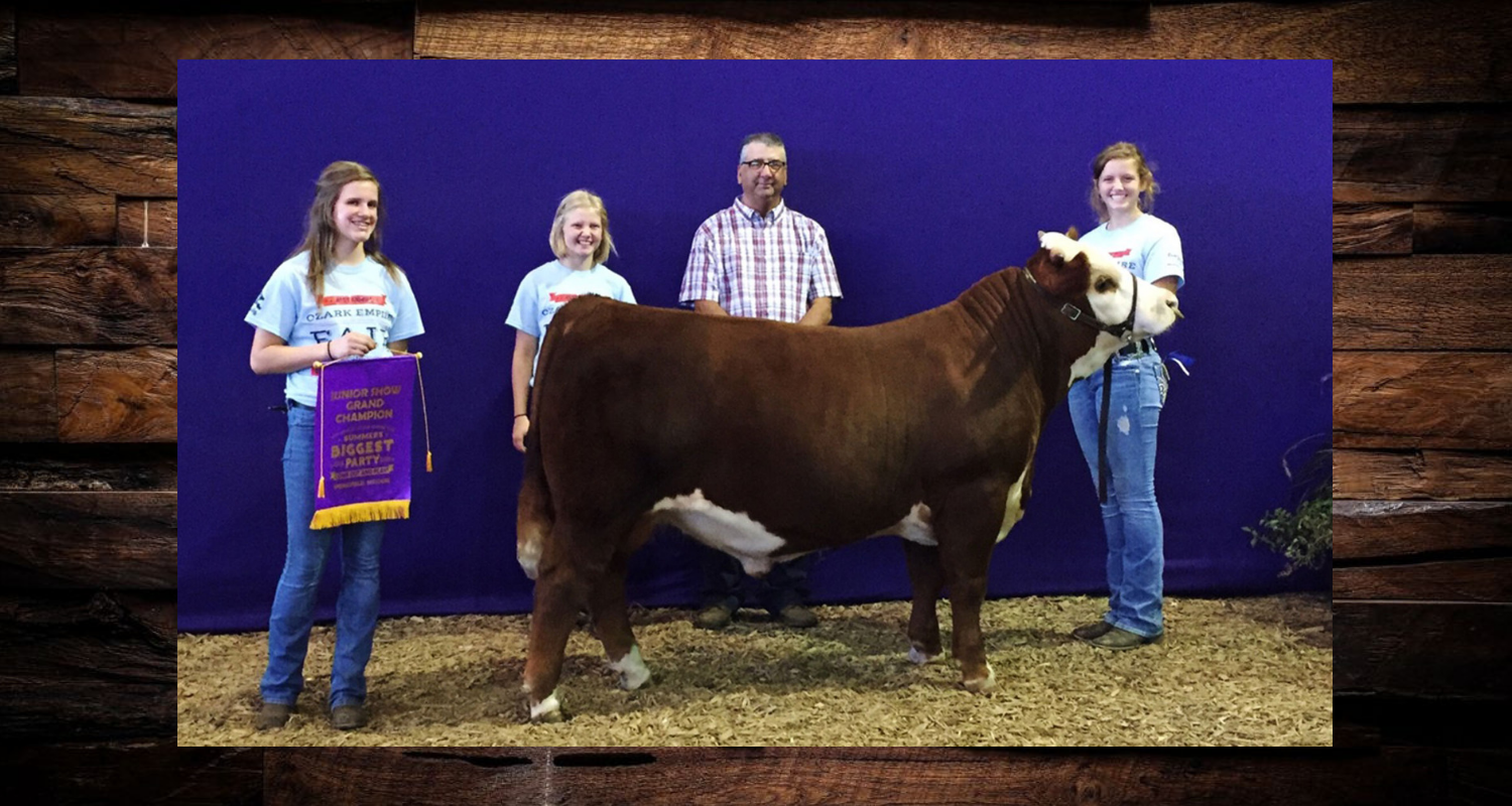 Four people pose with a brown show cow on a purple backdrop at a livestock show.