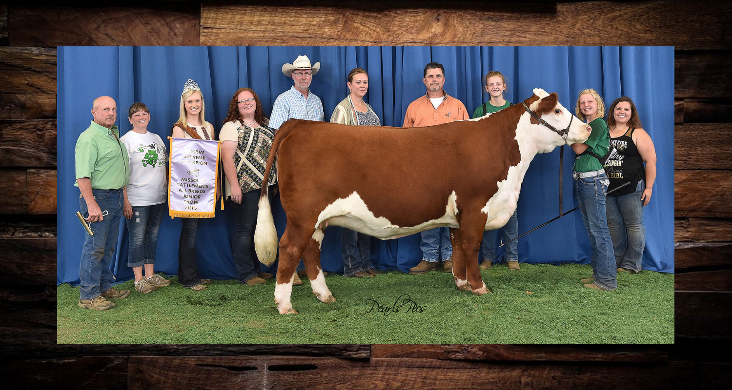 Group posing with a brown-and-white cow at a livestock show, in front of a blue backdrop.