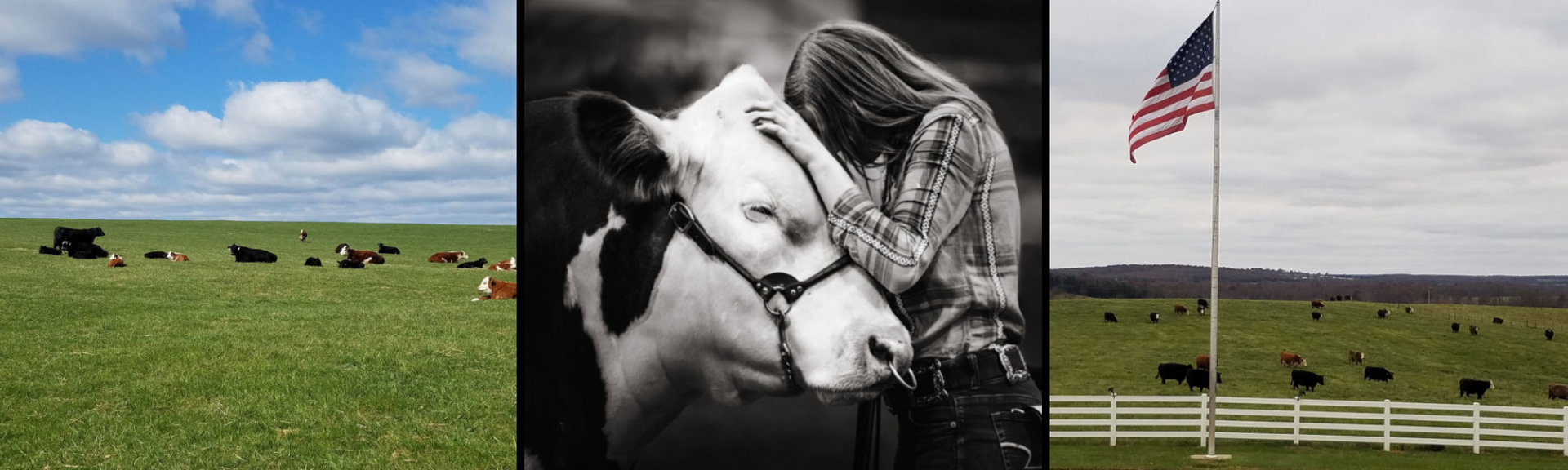 Black-and-white horse nuzzling a child, with green pasture and an American flag in the background.