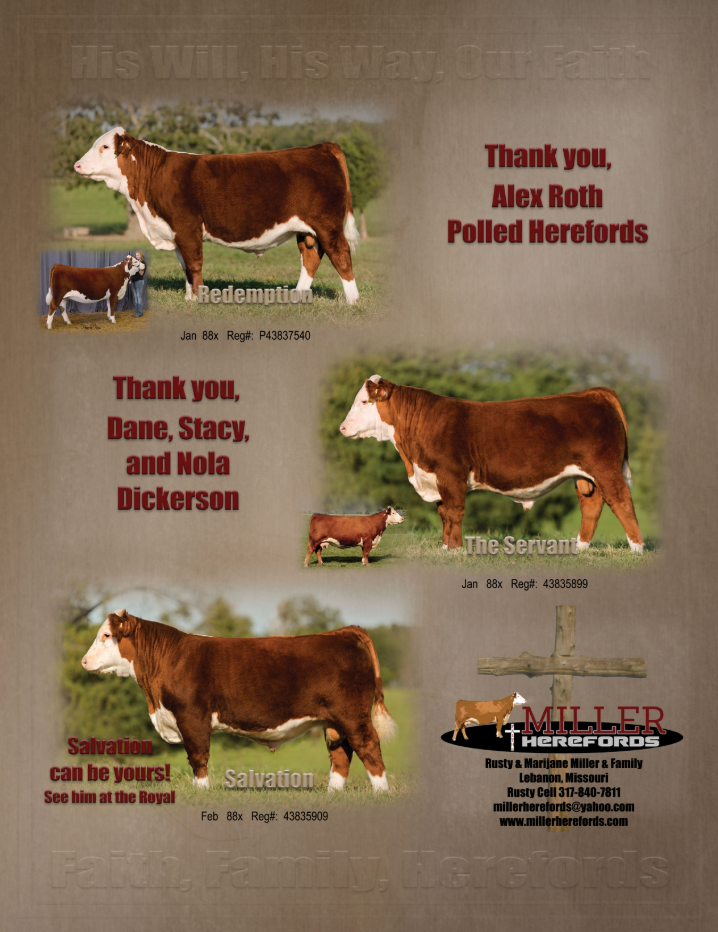 Red and white cow on green pasture with sponsor text and small inset animal photos.