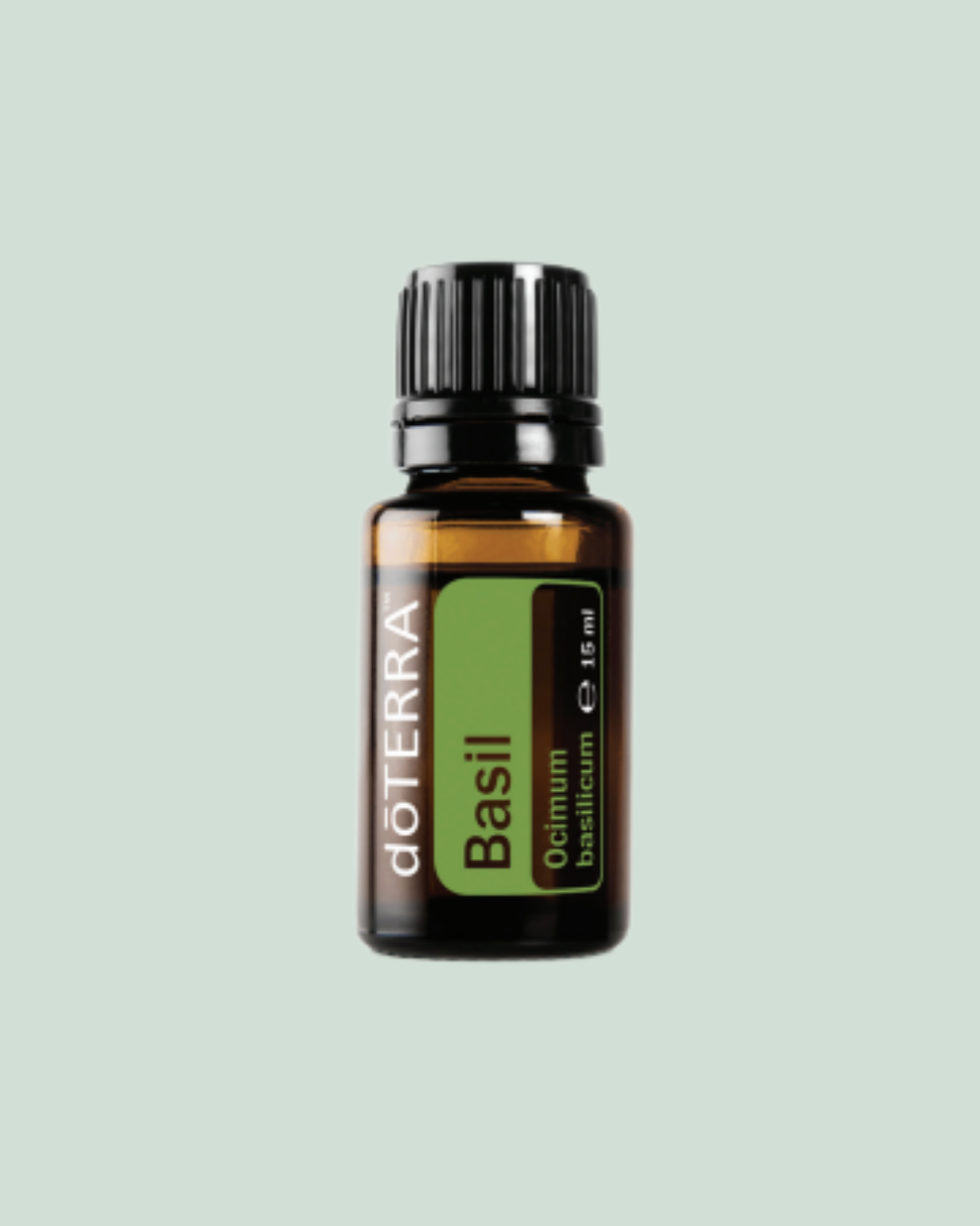 Basilic