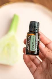 Fenouil