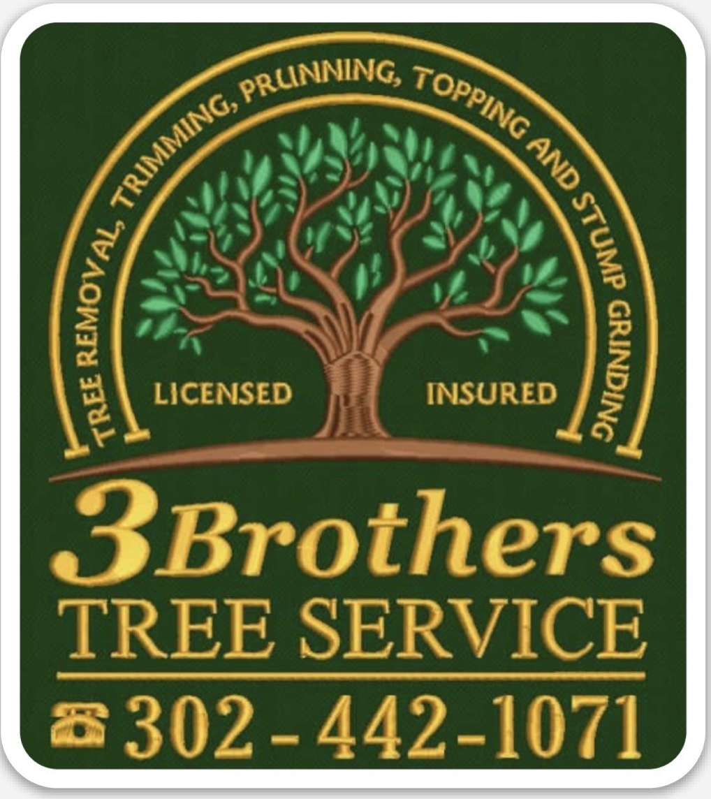 3 Brothers Tree Service 3 Brothers Tree Service