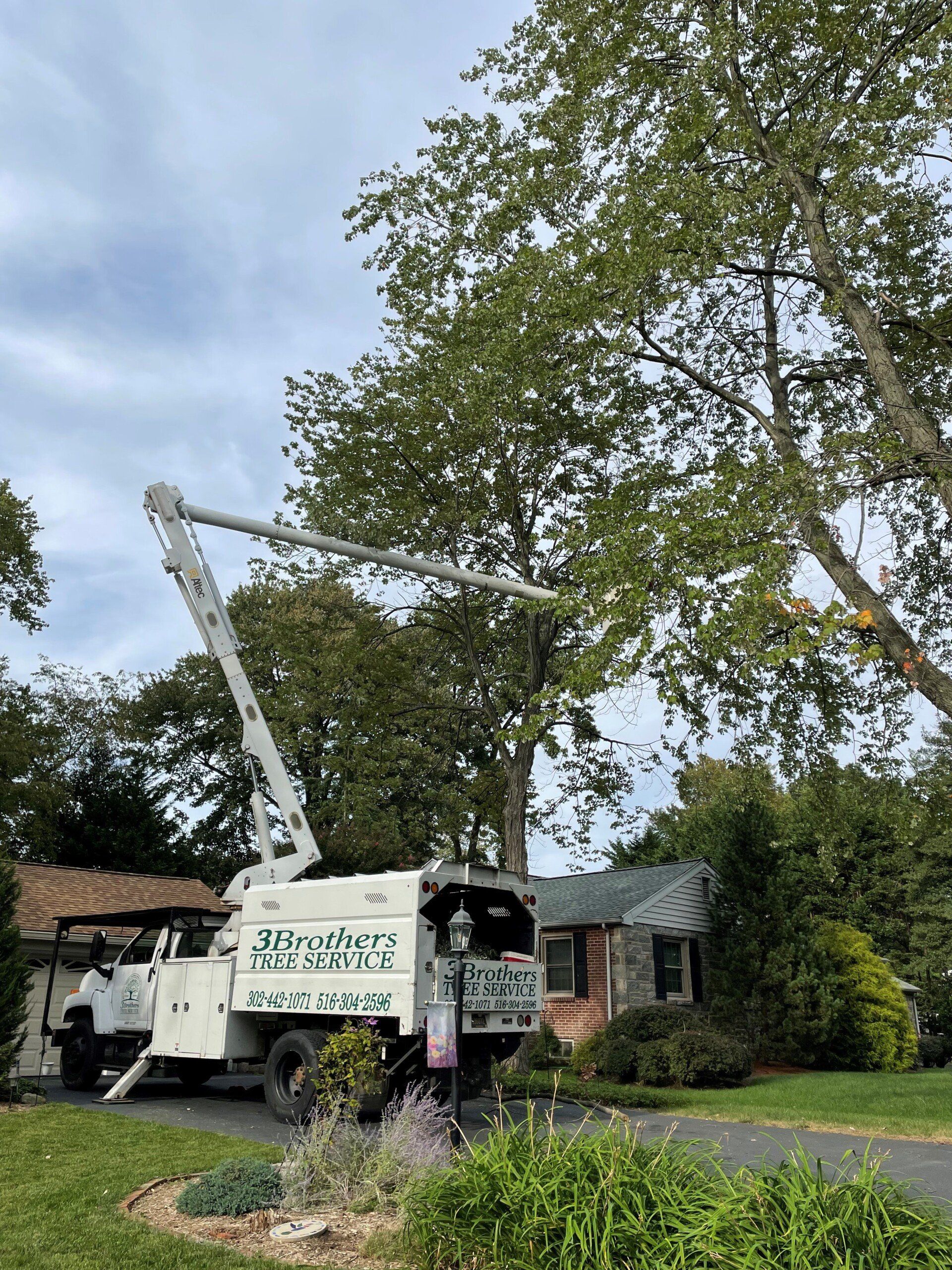 Emergency Repair - New Castle, DE - 3 Brothers Tree Services