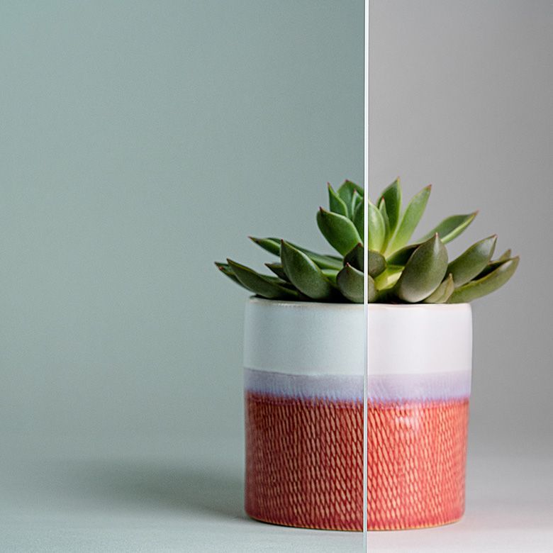 Succulent in a red and white pot, against a green-gray background.