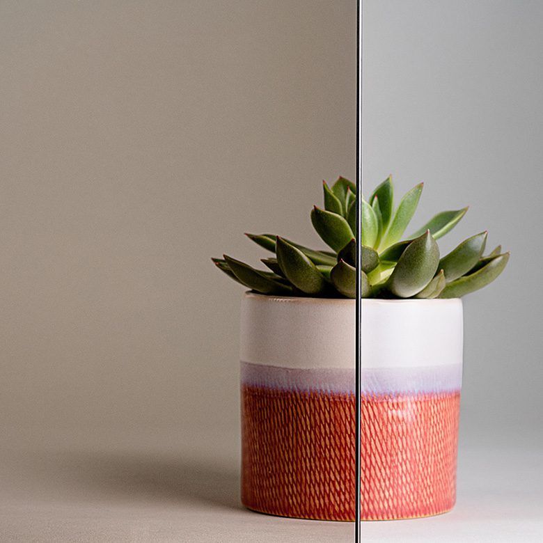 Succulent plant in a colorful pot, with a light gray background bisected by a vertical line.