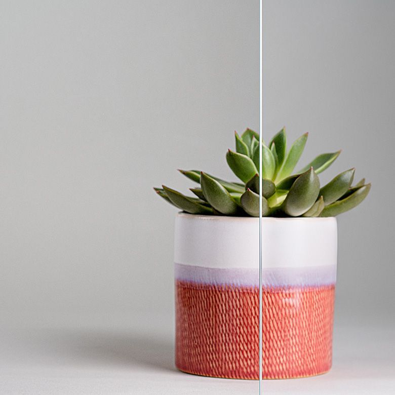 Succulent plant in a red and white pot against a gray background. A clear vertical line is in the middle.