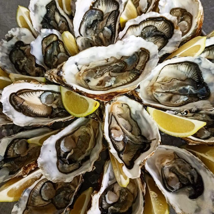 piatto di ostriche