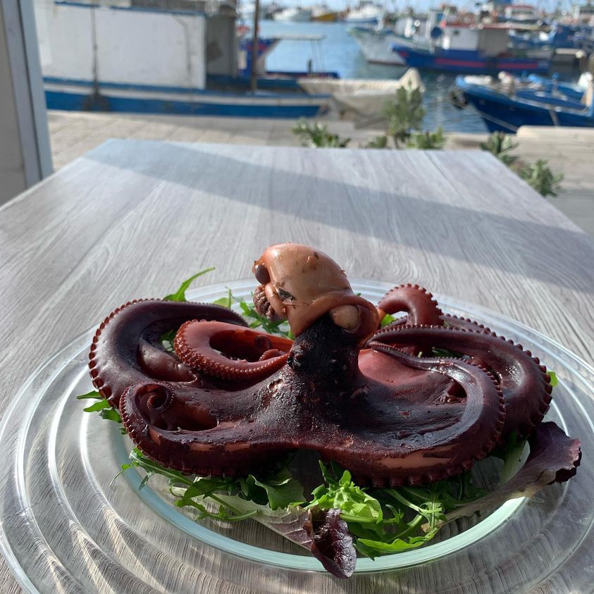 traditional octopus dish