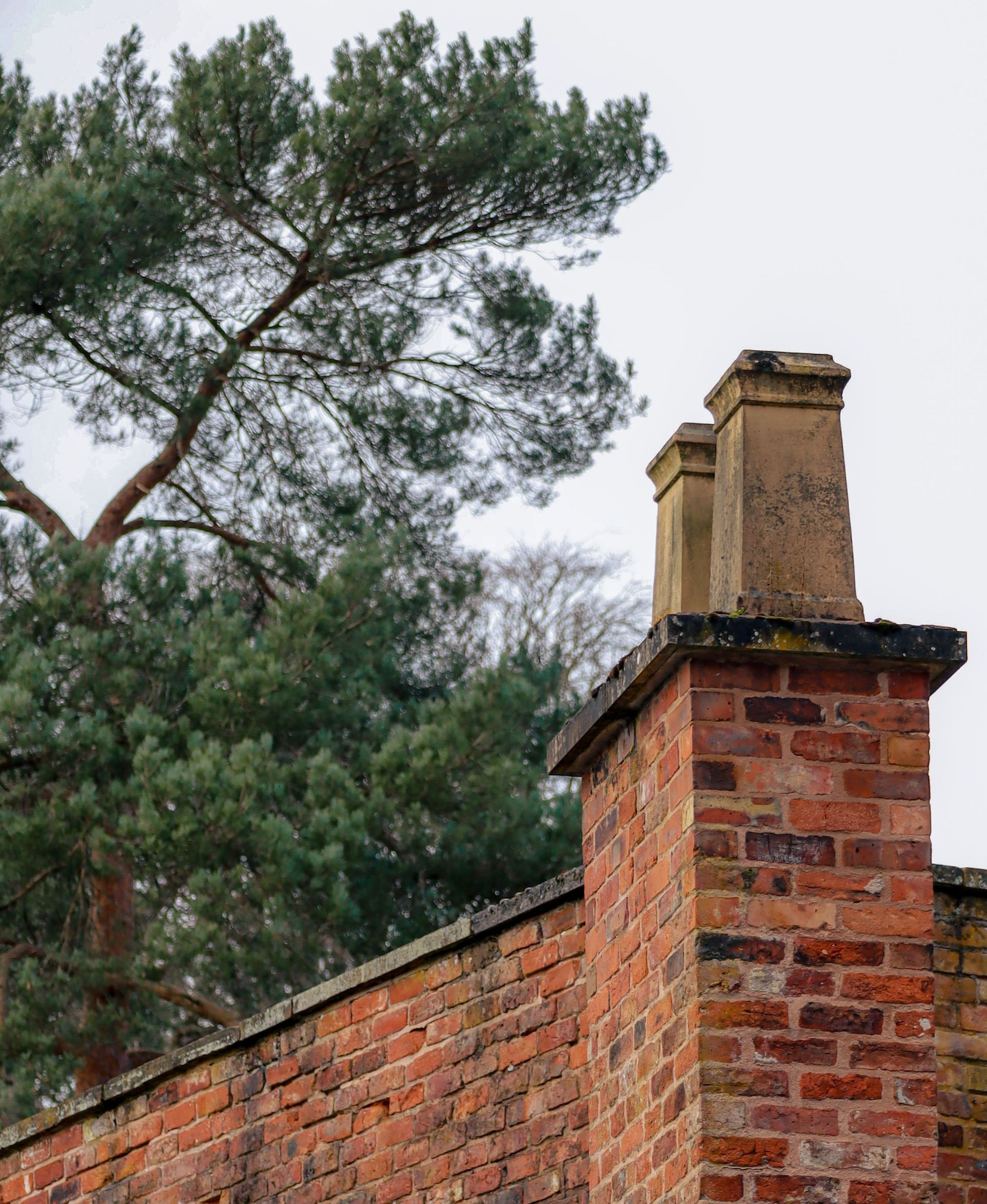 Brick chimney on a red wall beside a tall pine tree against a gray sky