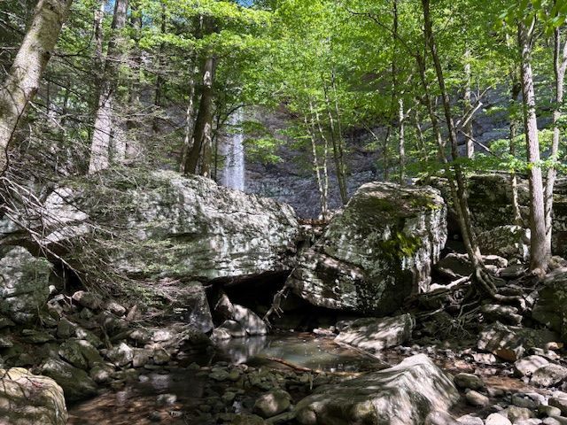 Rocky forest stream with mossy boulders, shallow water, and green trees in the background