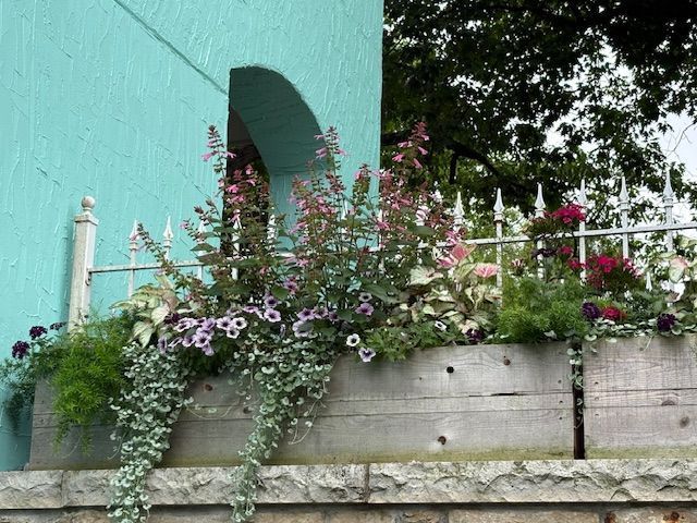 Turquoise building wall with an arched doorway and a planter overflowing with pink and white flowers.