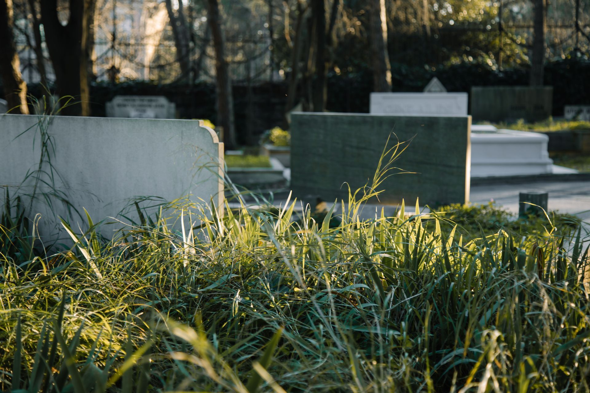 Sunlit grasses and low concrete blocks in a quiet landscaped park