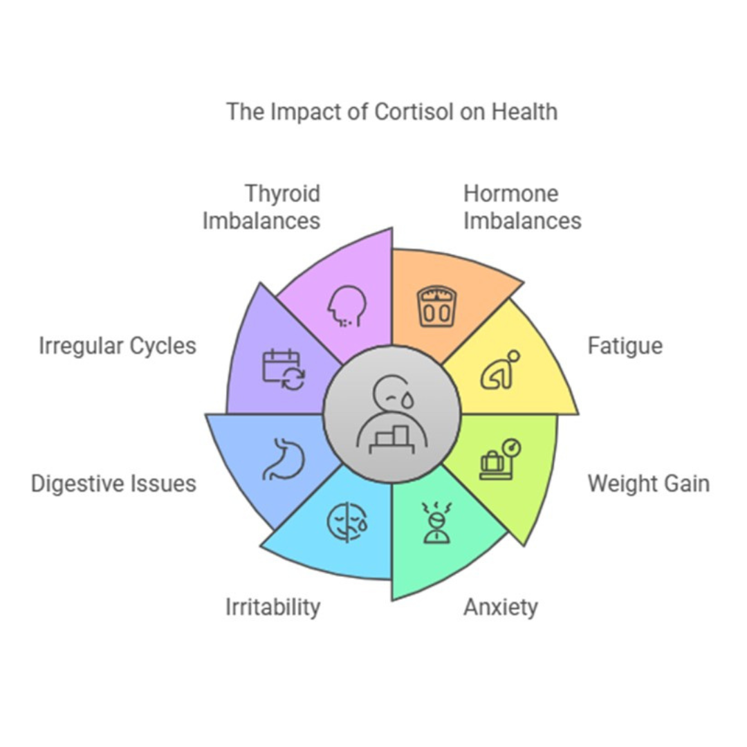 Infographic on cortisol health effects with colored wheel segments for fatigue, weight gain, anxiety, and other symptoms