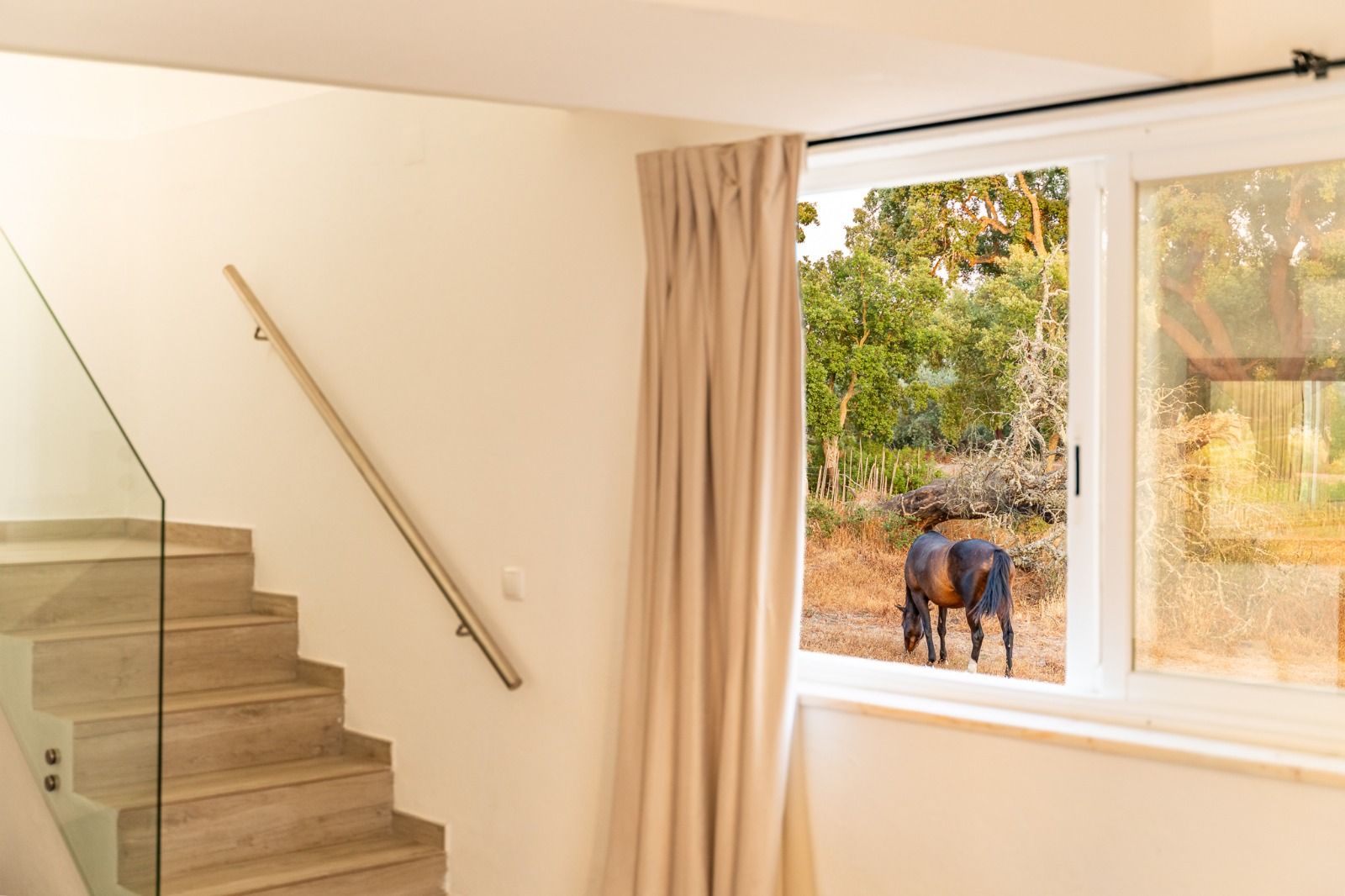 Stairway beside a window; outside, a horse stands near autumn trees and a white fence.