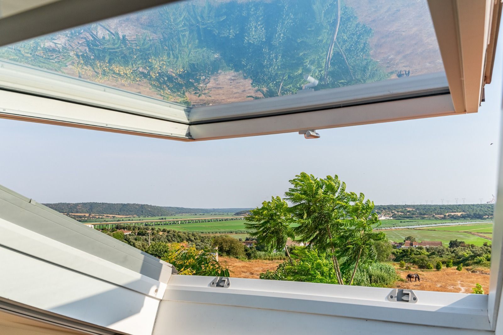 Open skylight window framing a sunny green landscape and tree outside
