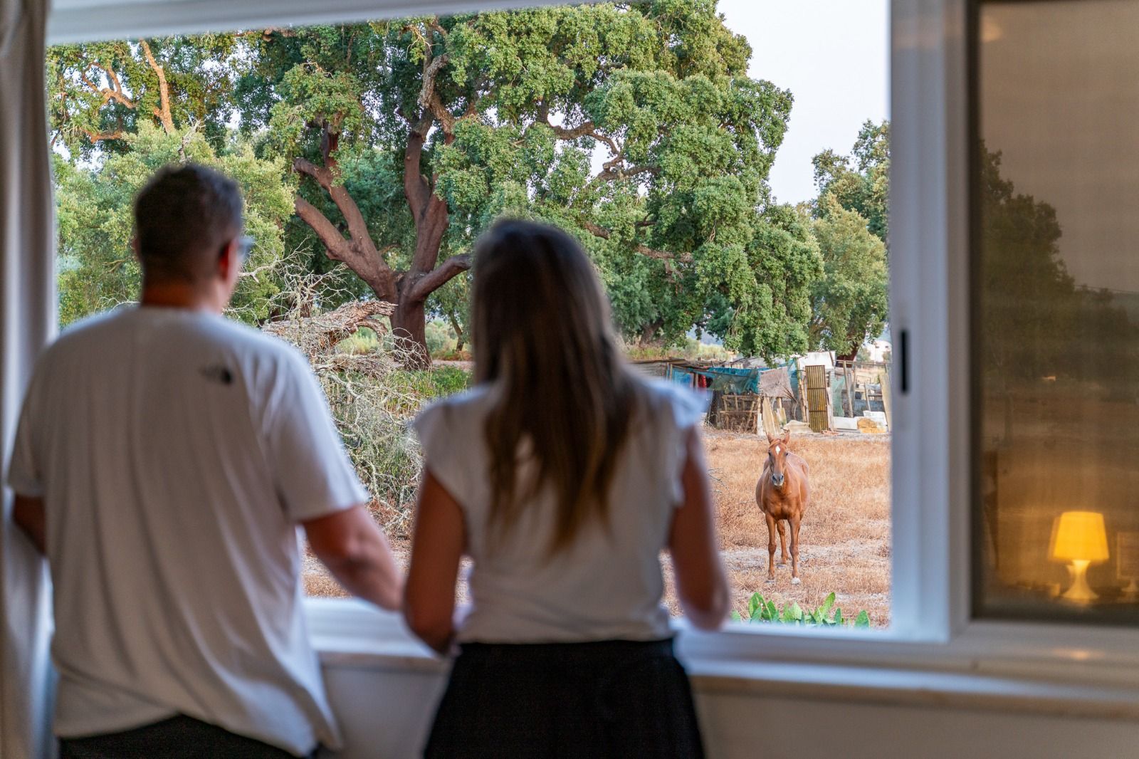 Two people stand at an open window looking out at a tree and a deer in a yard.