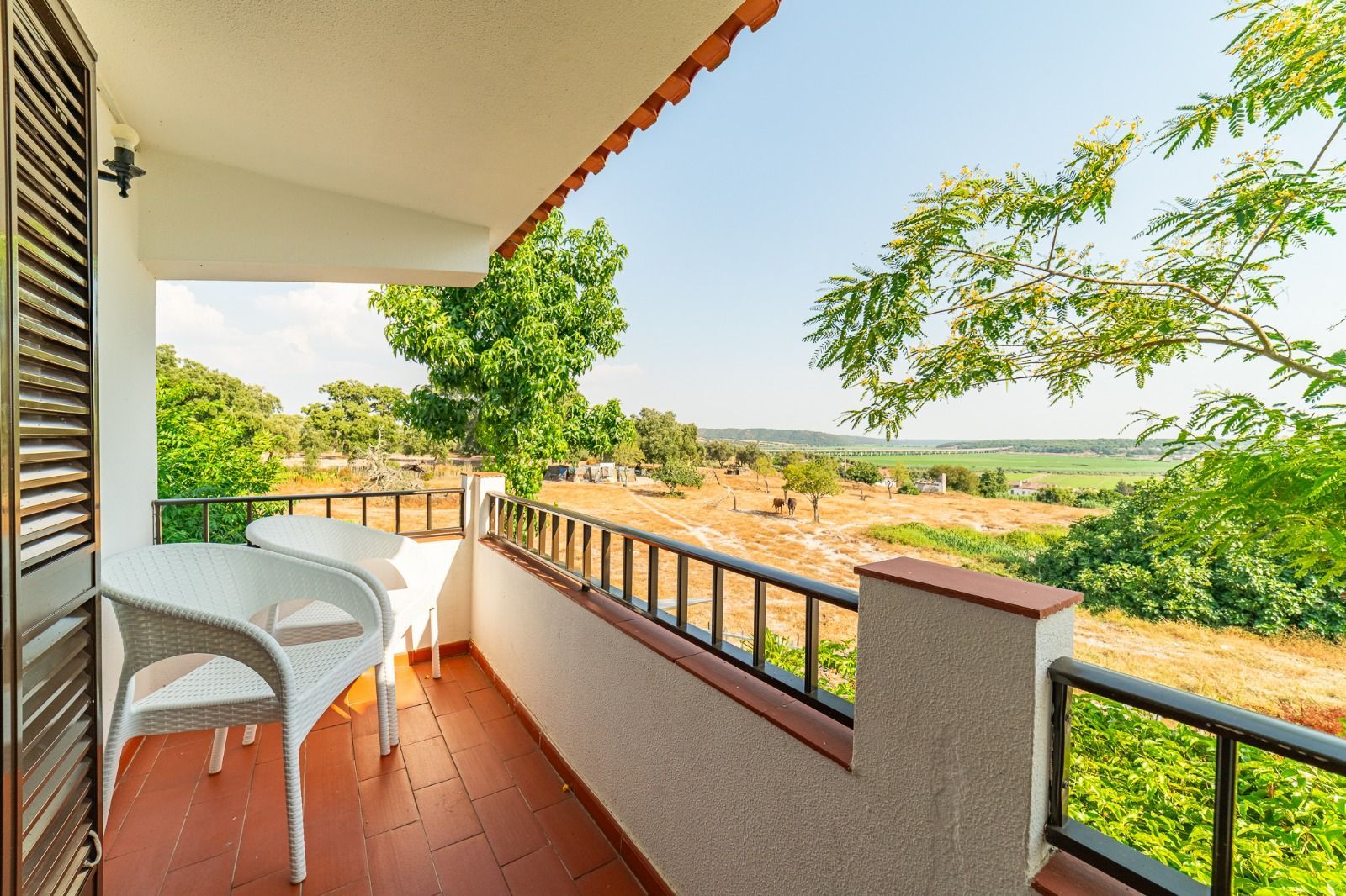 Balcony with white chairs overlooking a sunny green landscape and open fields