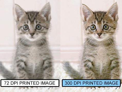 Side-by-side kitten images, 72 DPI and 300 DPI, demonstrate resolution impact on print quality.