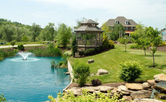 A gazebo is sitting next to a pond in a lush green park.