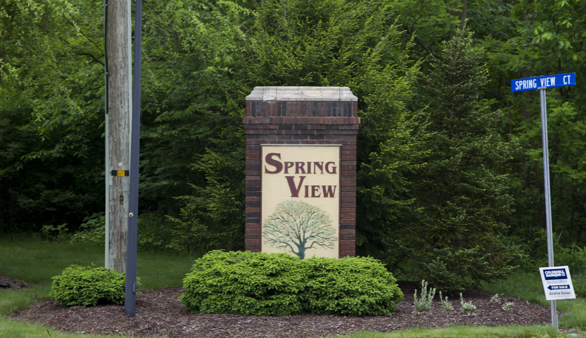 A sign for spring view is surrounded by trees and bushes.