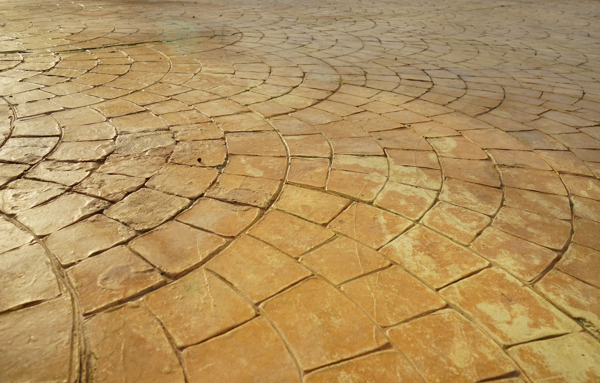 Cracked, sun-baked earth with a dry, curved tile-like pattern