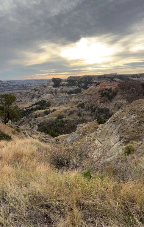 Arid hillside with dry grass and rocky shrubs under a cloudy sunset sky