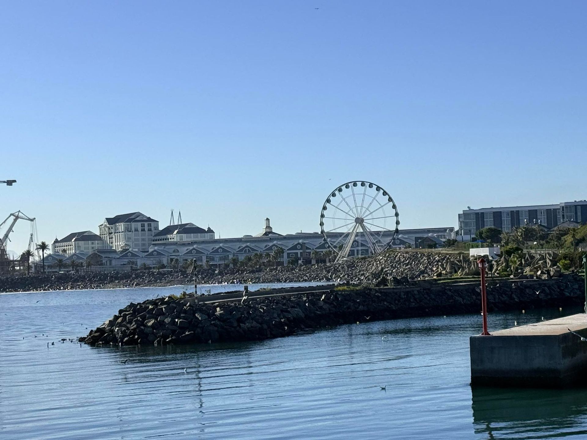 Harbor waterfront with ferris wheel, low buildings, and rocky breakwater under a clear blue sky