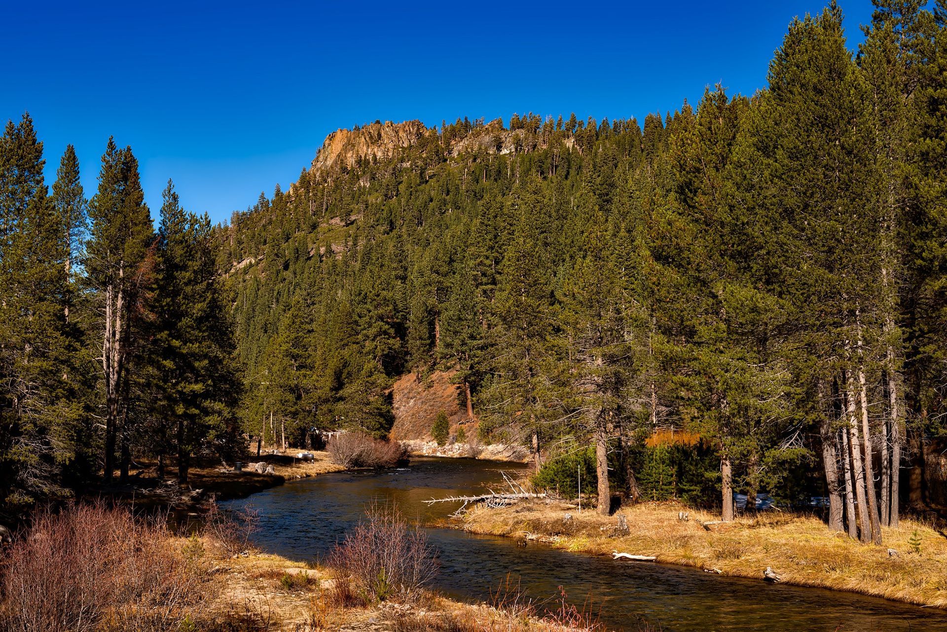 River winding through pine forest beneath a rocky cliff under a clear blue sky