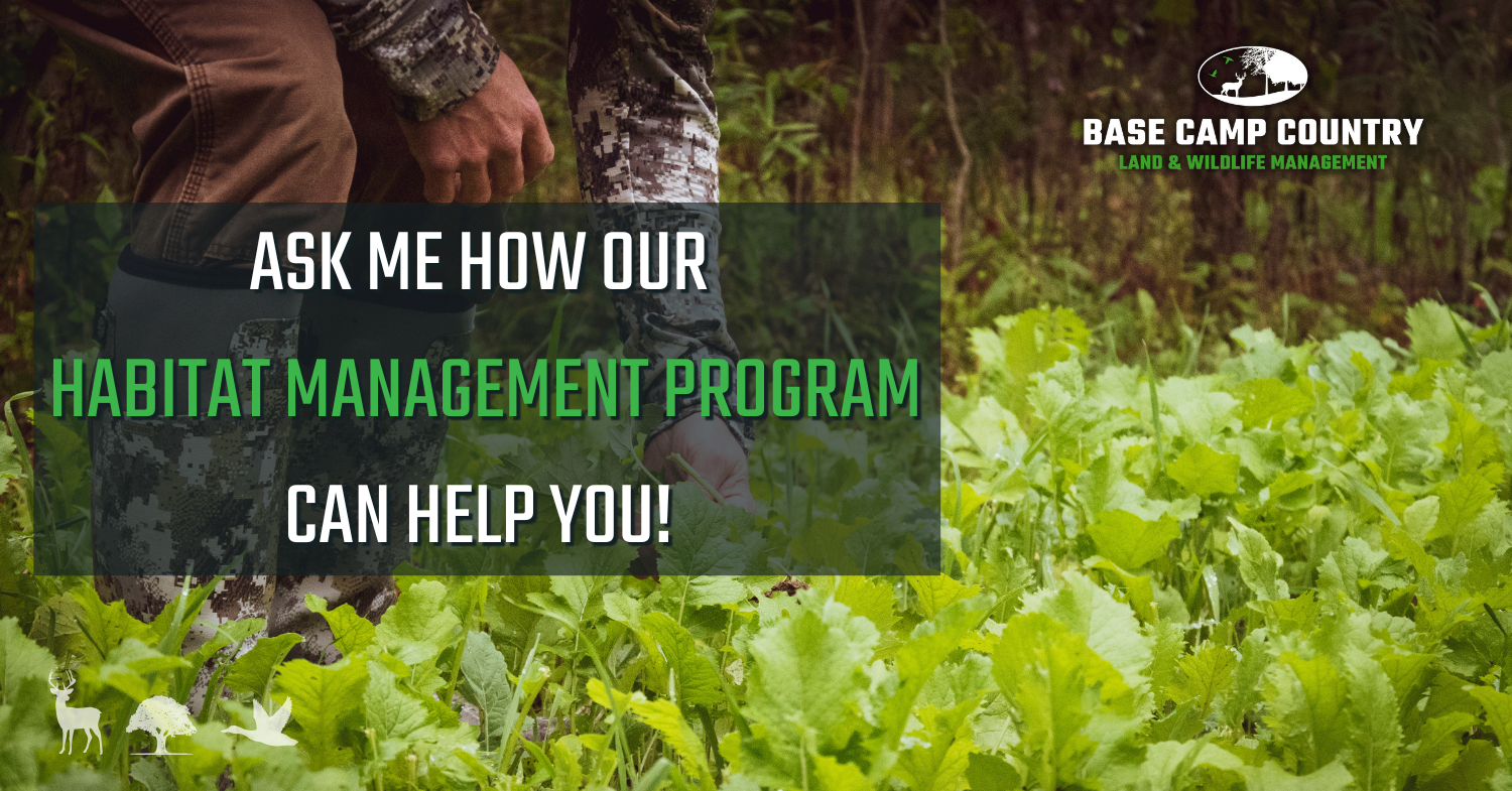 A person is standing in a field of green plants.