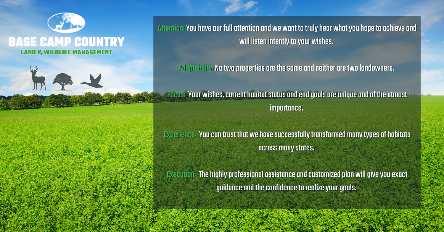 A picture of a grassy field with the words base camp country on it