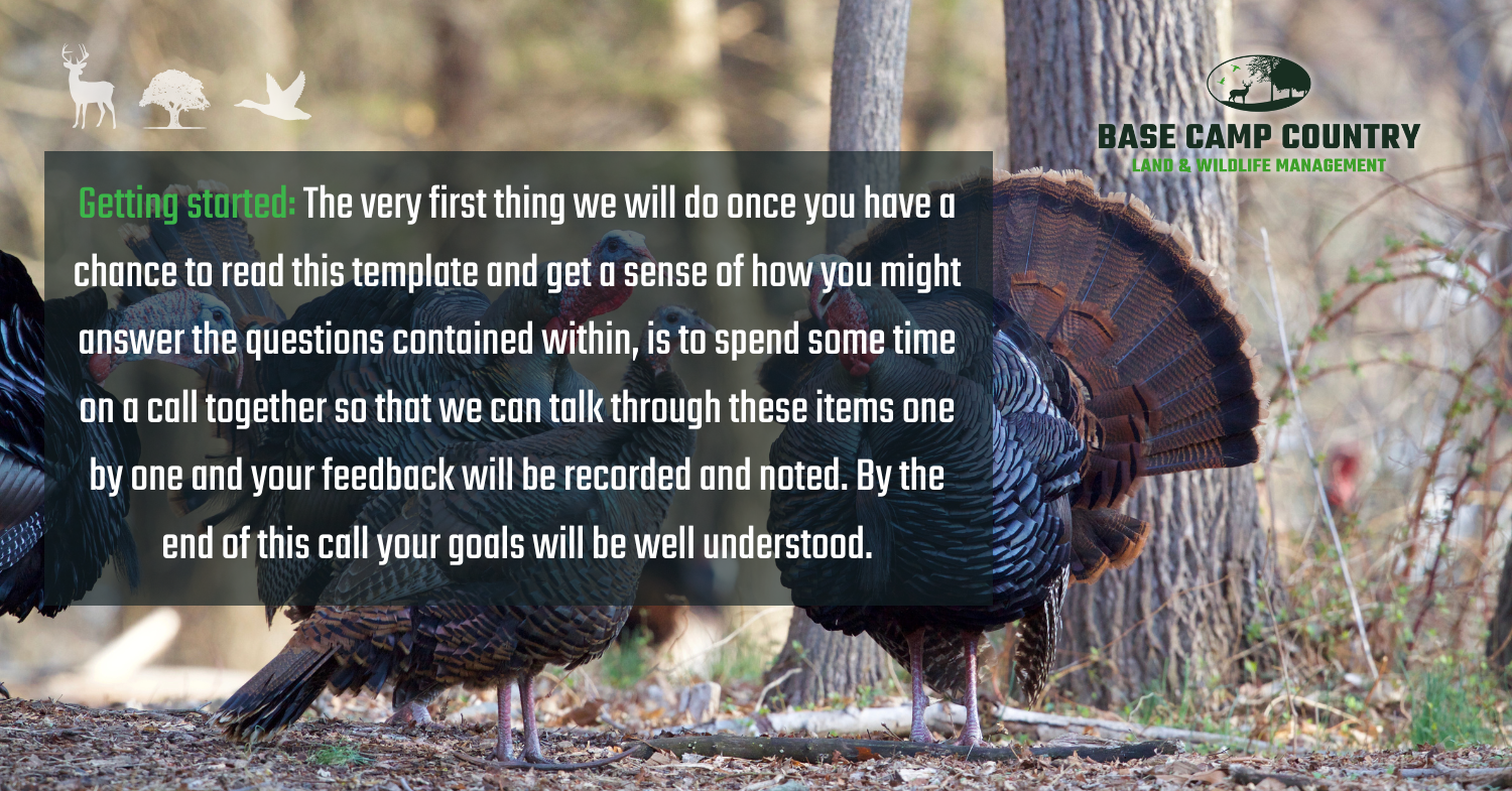 Two turkeys are standing next to a tree in the woods.