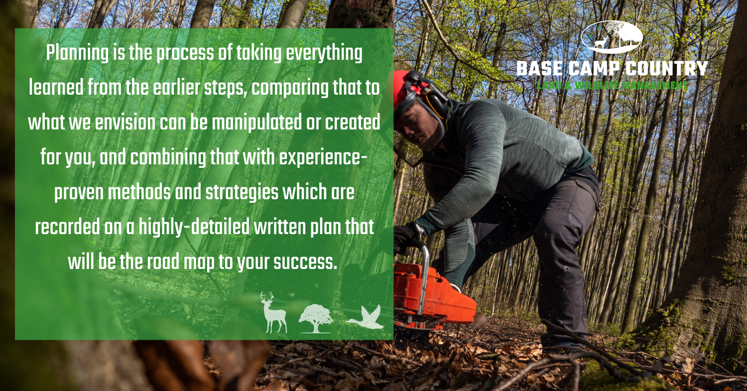 A man is kneeling down in the woods with a chainsaw.