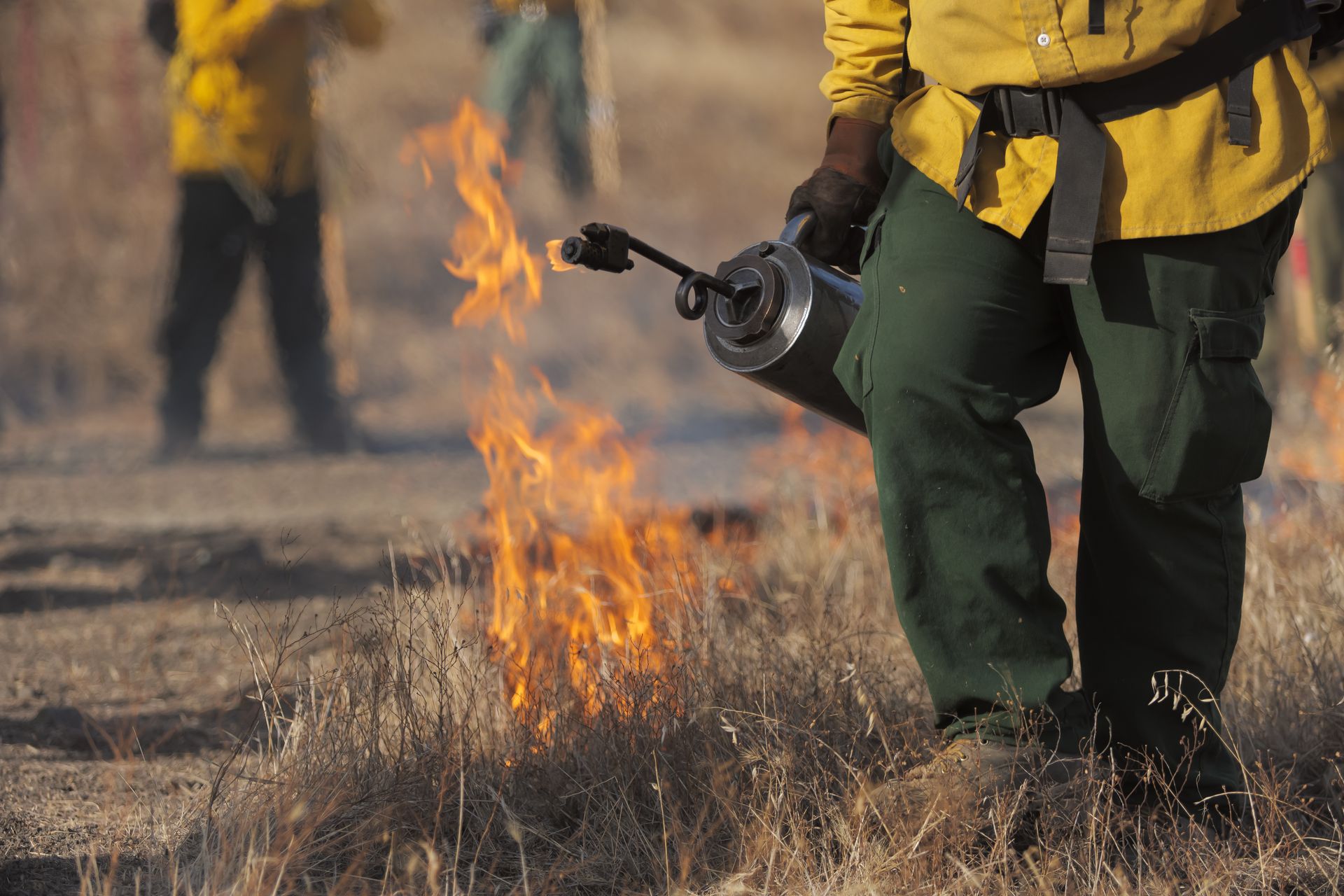 A man is standing in a field holding a torch.