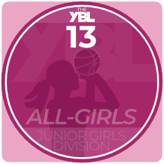 13ag_logo