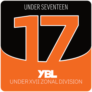 17_logo