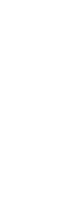 White YBL Logo - Side