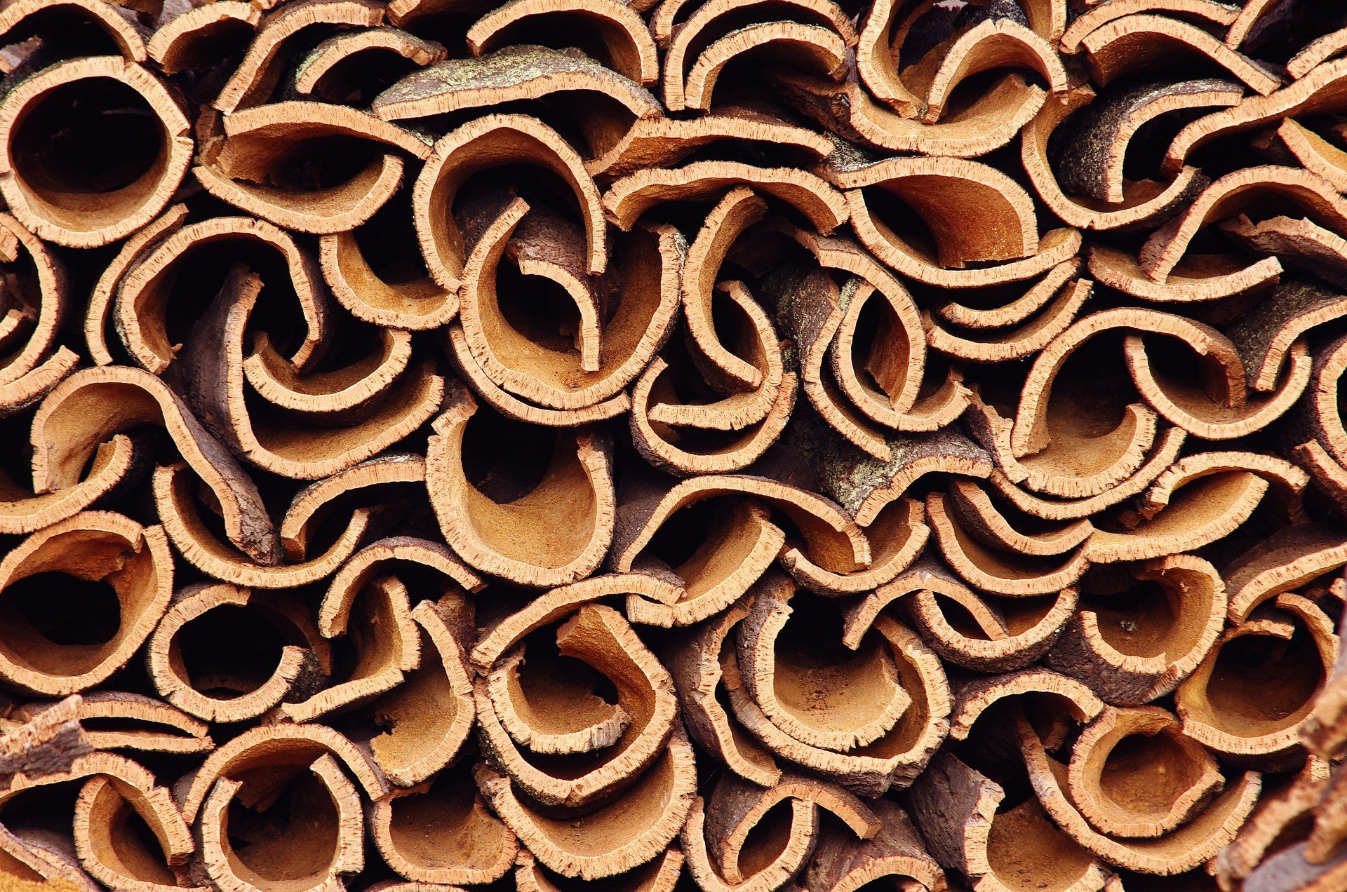 Morceaux d'écorce de liège, bruns, aux formes courbes et ouvertes, serrés les uns contre les autres.