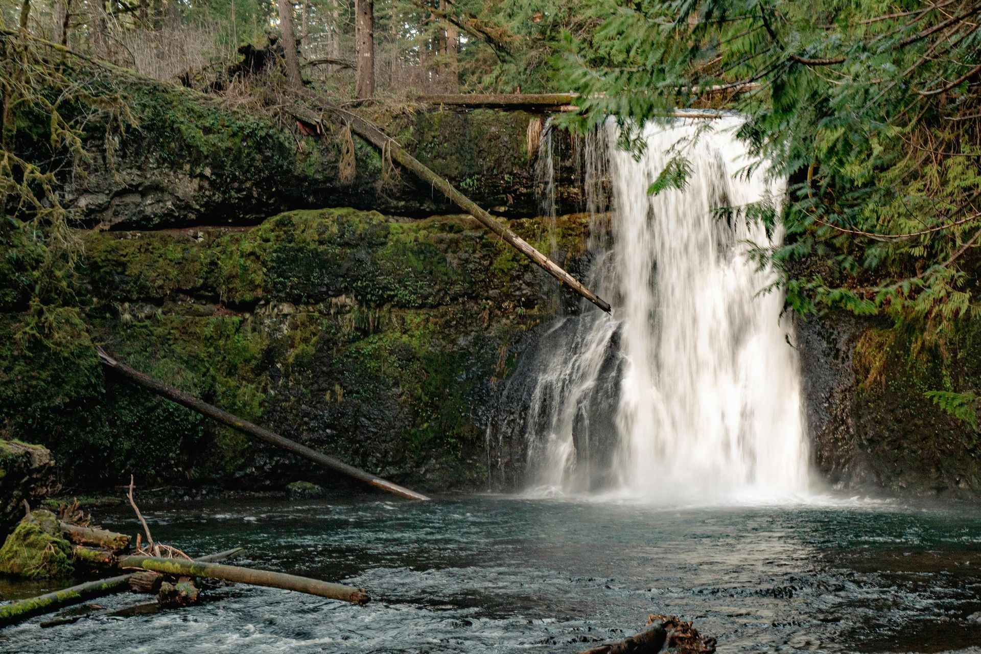 Waterfall cascading into a pool of water, surrounded by mossy rocks and trees.