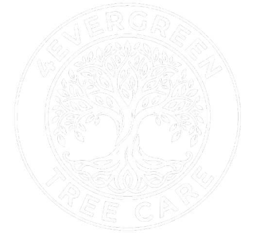 4 EVER GREEN 4 EVER GREEN