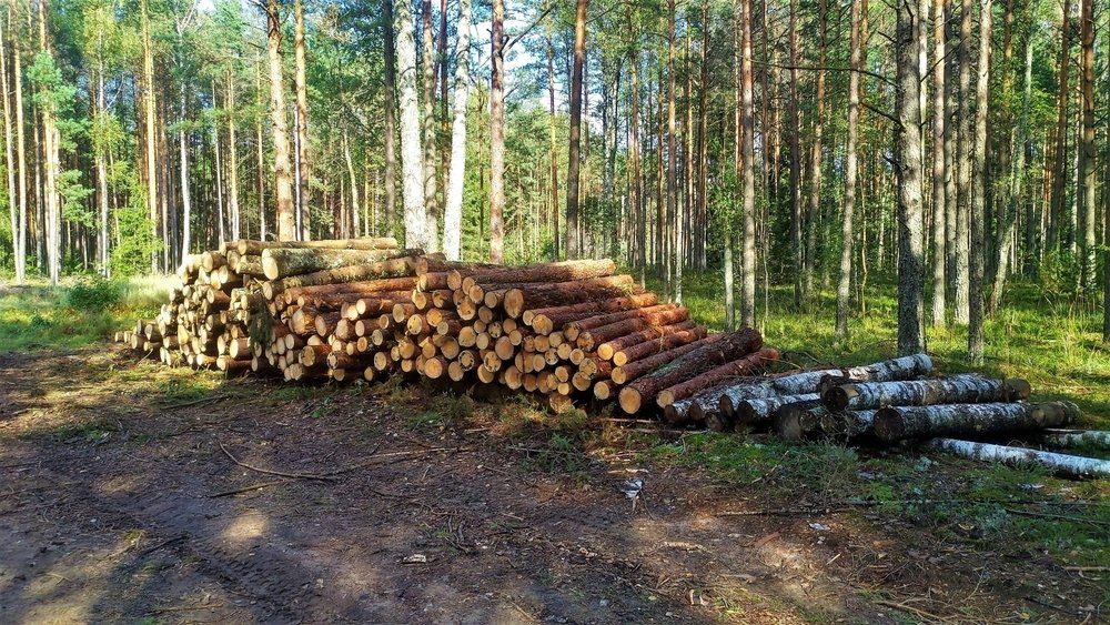 Cut Trees