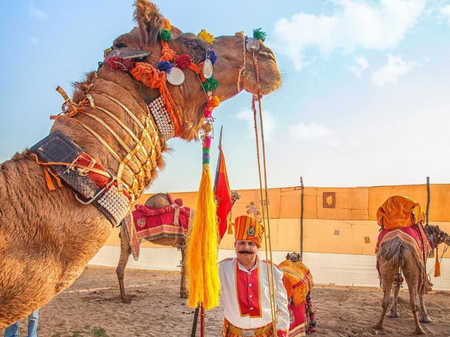 Decorated camel at a traditional desert campsite in Rajasthan, India