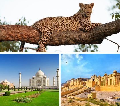 Golden Triangle tour collage featuring Jaipur, a Bengal tiger safari, and Varanasi