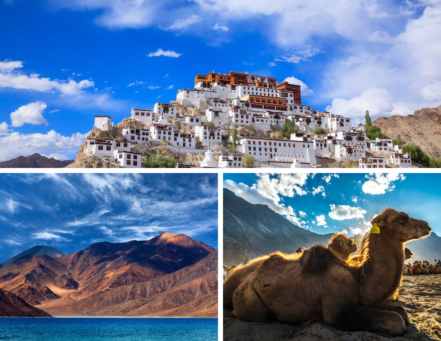 Top attractions on a Ladakh tour package featuring ancient Tibetan monasteries in Leh, scenic Pangong Tso Lake, and Nubra Valley.