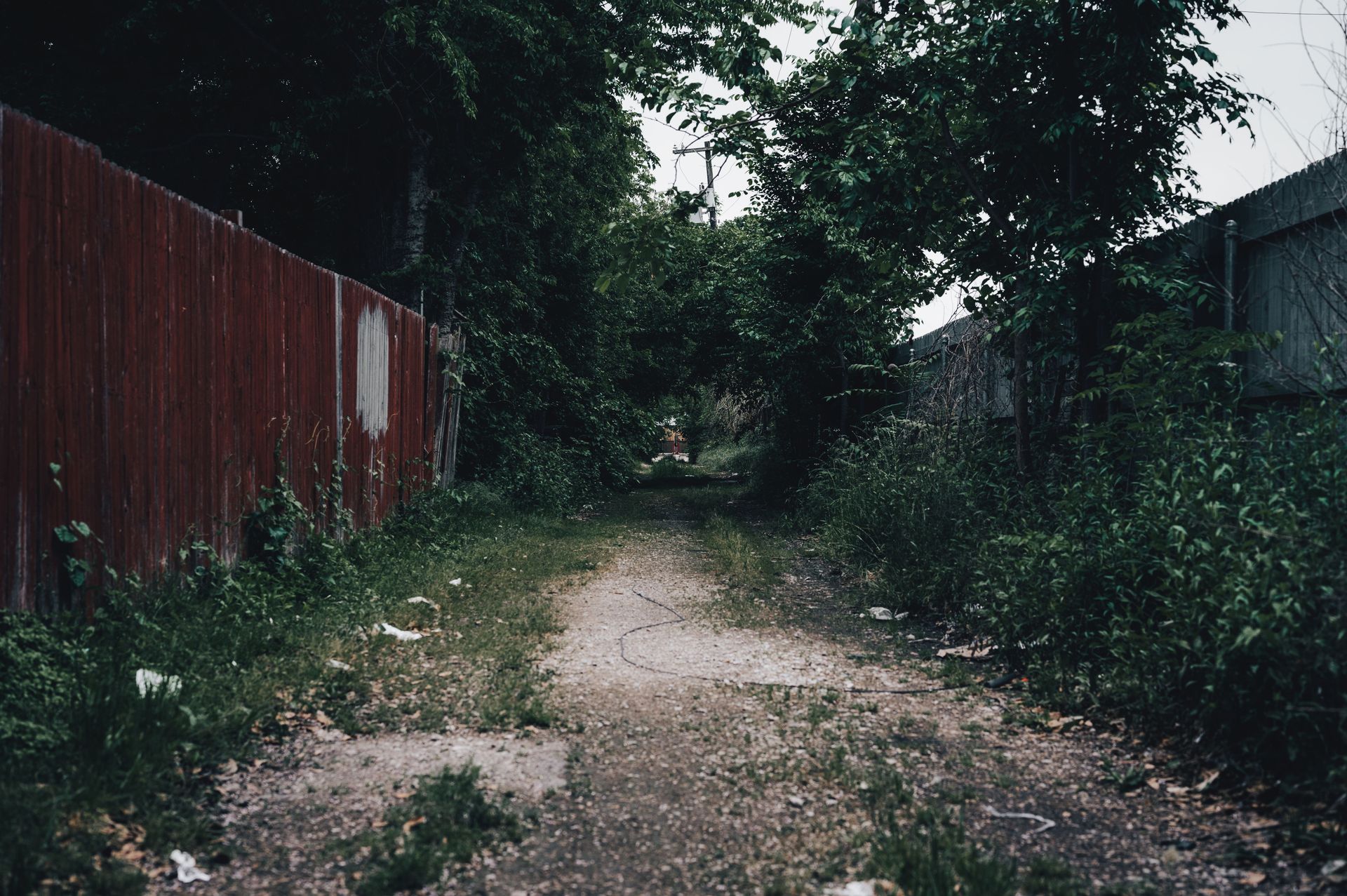 Narrow gravel path between a red fence and dense green overgrowth under an overcast sky