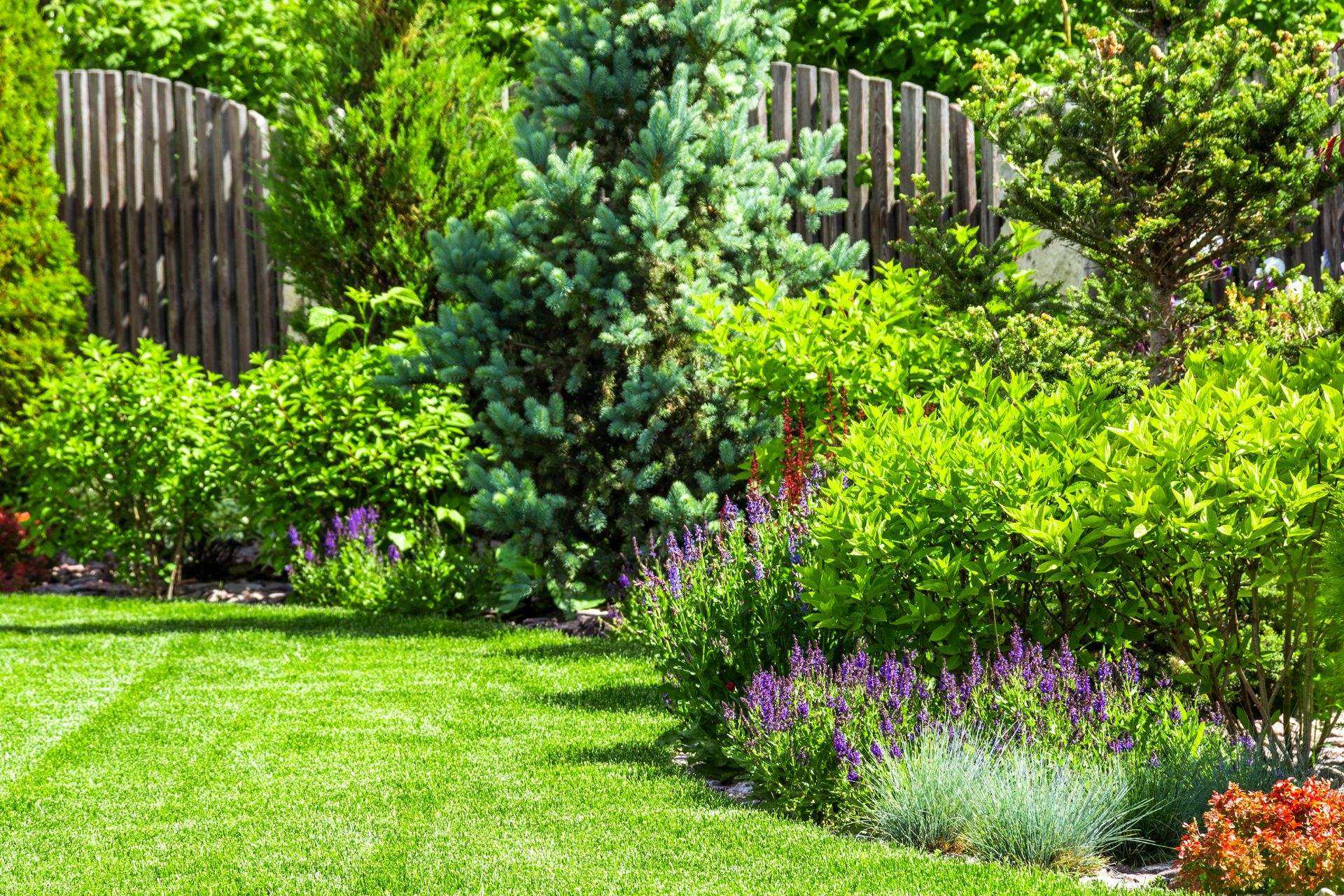 green lawn