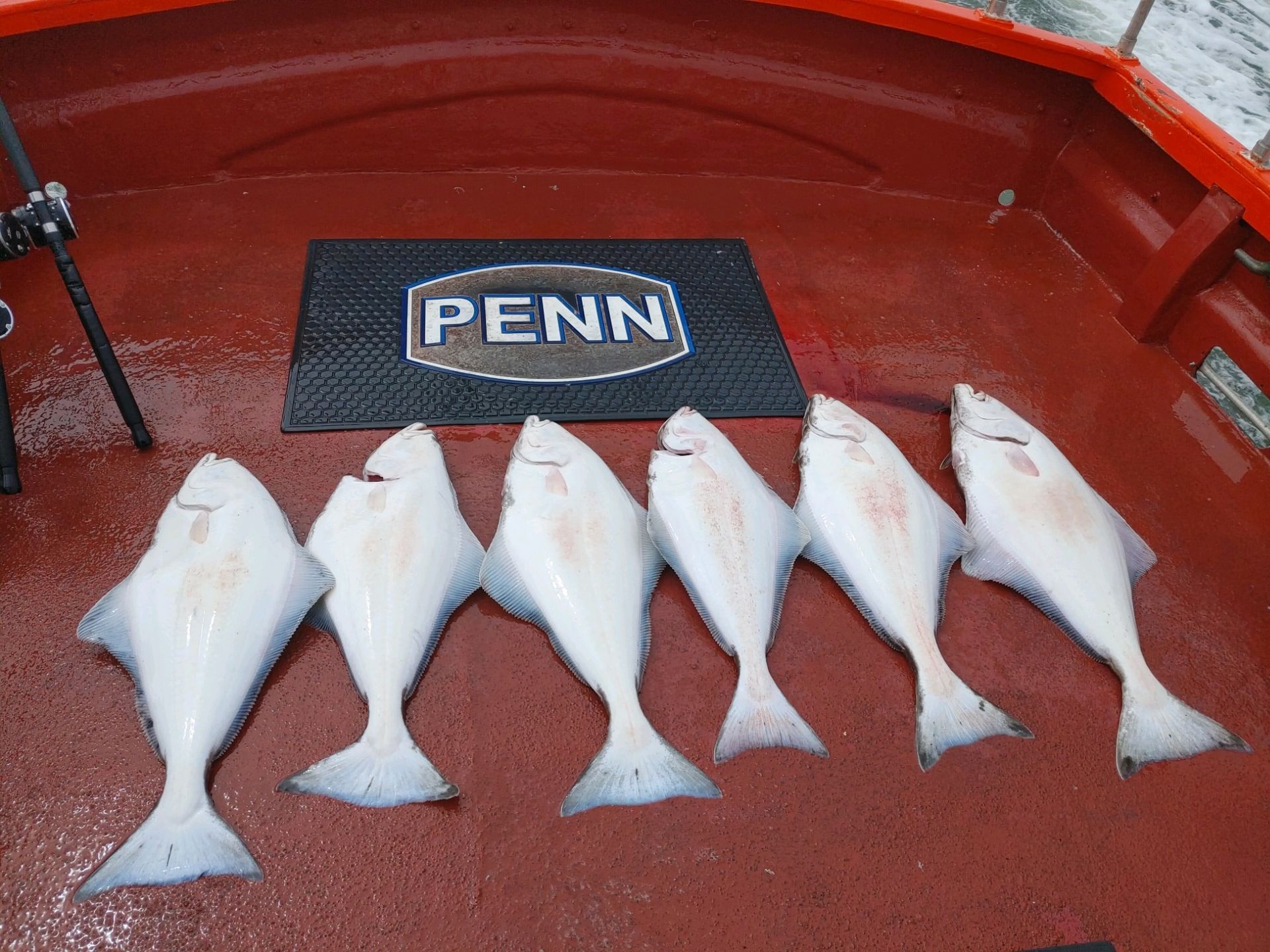 A bunch of fish are lined up on a penn boat