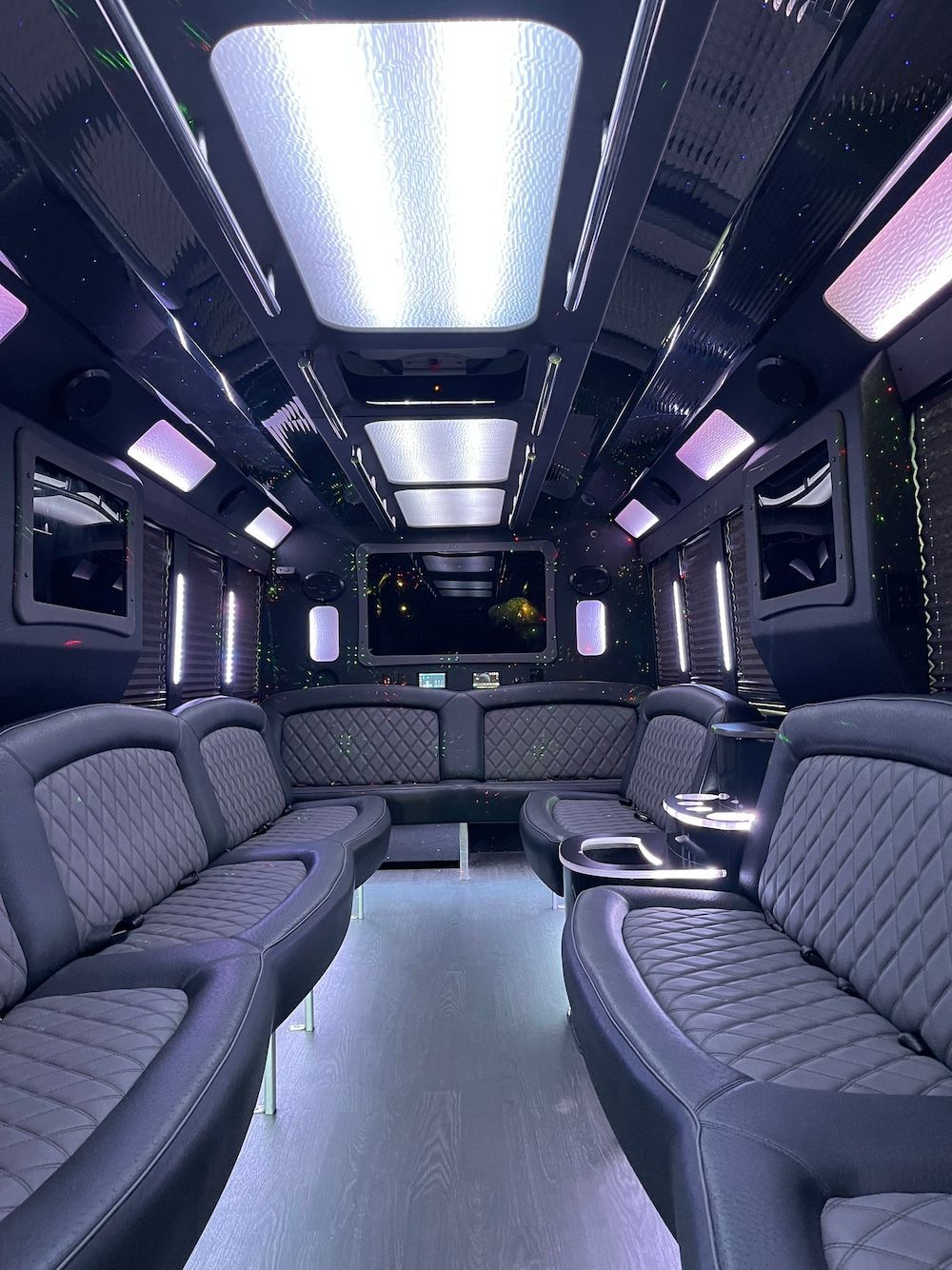 24 passenger party bus